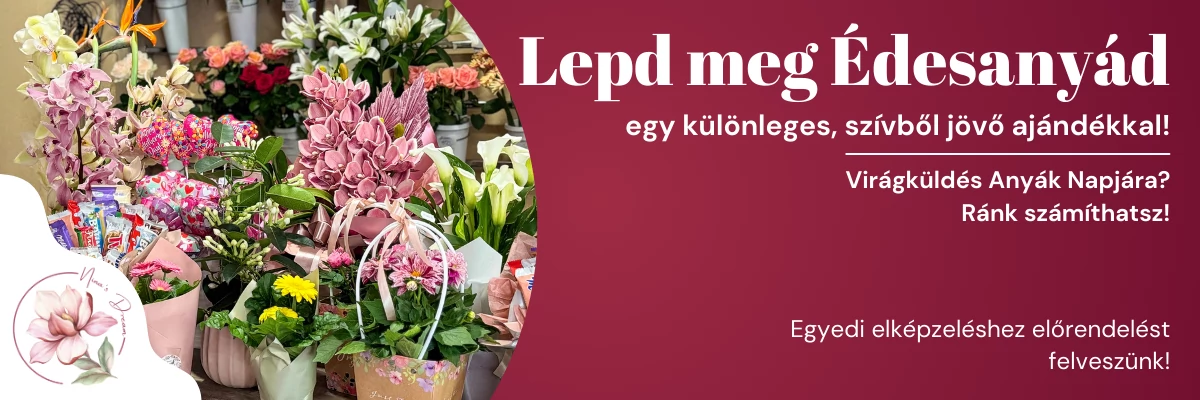 Anyáknapi
